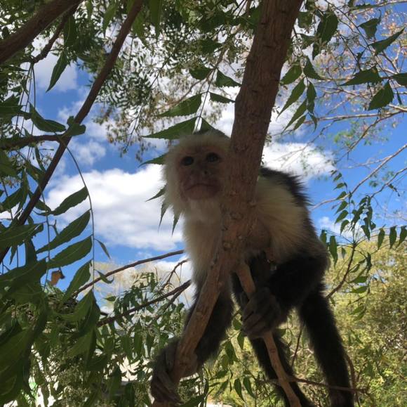 Meet your Posher, Marta - Picture 1 of 1